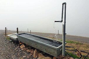 82208_8.jpg