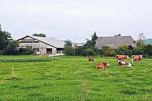90278_8.jpg