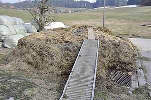 77651204-7f70-9f35-5b85-62631d1273aa-22515-scaled.jpeg