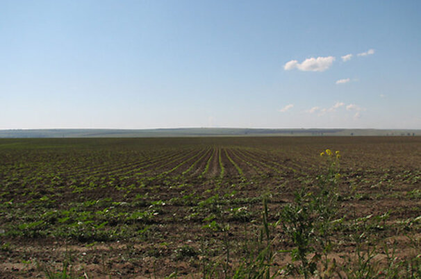 8553_8.jpg