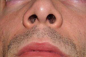 39742_8.jpg