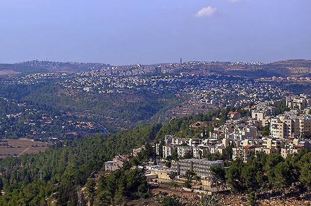 53902_8.jpg
