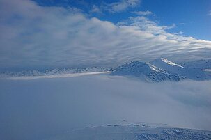 77525_8.jpg
