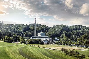 84177_8.jpg