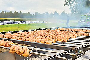 84339_8.jpg