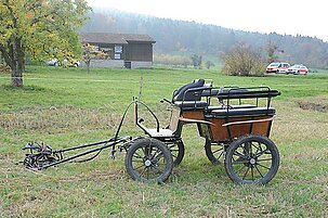 51536_8.jpg
