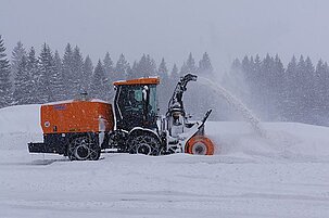 55485_8.jpg
