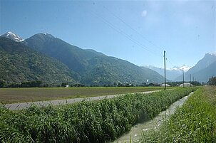 67860_8.jpg