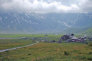 49417_8.jpg