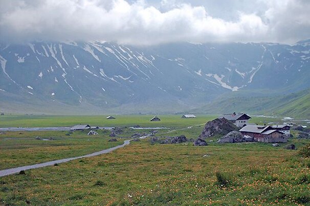 49417_8.jpg