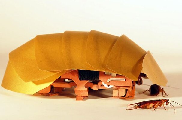 53527_8.jpg