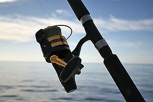 53903_8.jpg