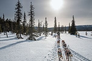 60477_8.jpg