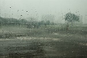 74873_8.jpg