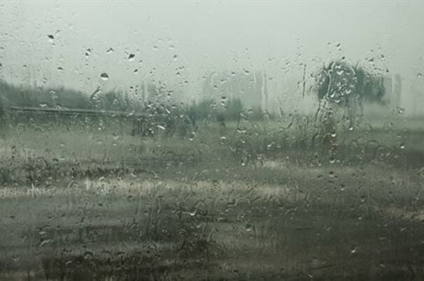74873_8.jpg