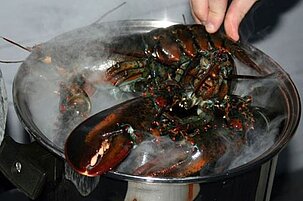 78017_8.jpg