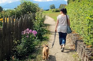 90397_8.jpg