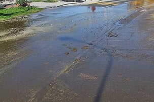 50083_8.jpg