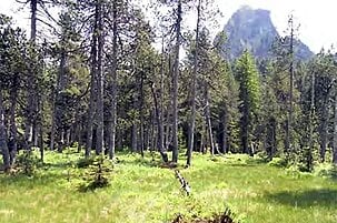81978_8.jpg