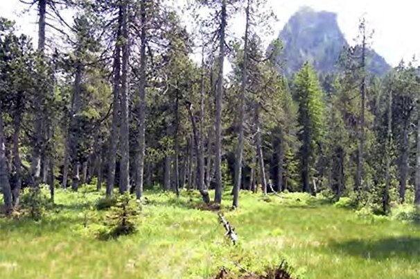 81978_8.jpg