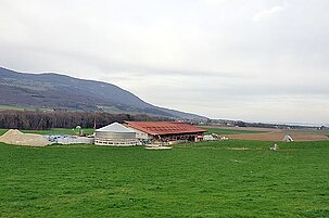 62250_8.jpg
