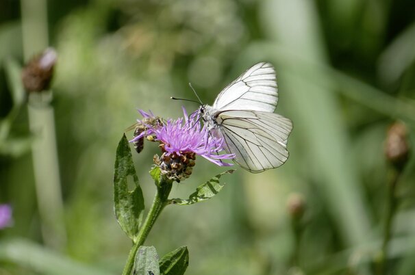 db91c592-9d85-b59c-4cb3-d77745586e34-60585-scaled.jpeg