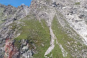 83692_8.jpg