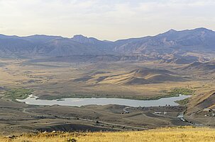 c3b26bef-c036-9a13-6a36-9679d89fa5c7-25208-scaled.jpeg
