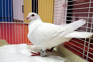 55473_8.jpg