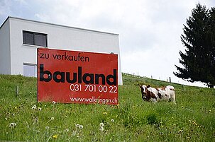 57596_8.jpg