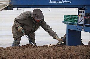 90398_8.jpg