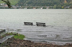 48554_8.jpg