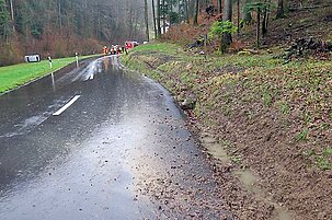 53715_8.jpg