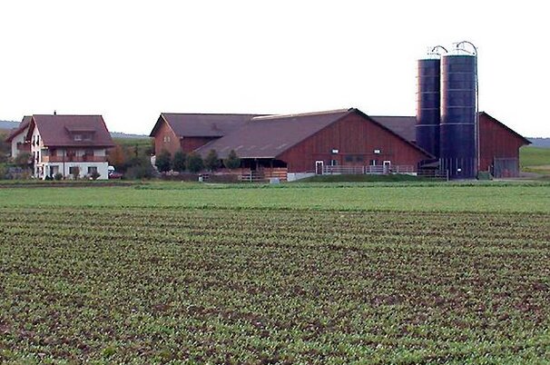 61880_8.jpg