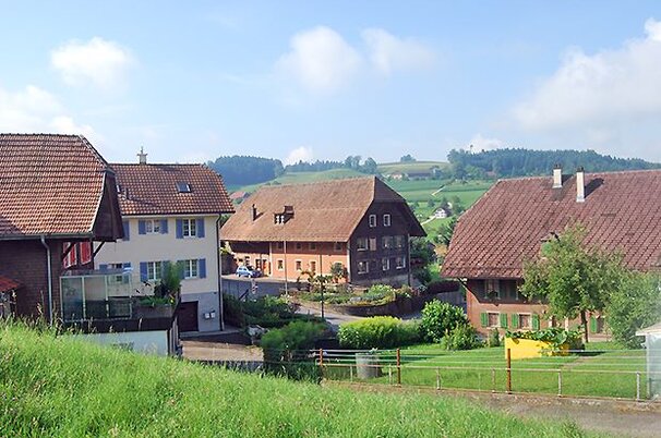 83617_8.jpg
