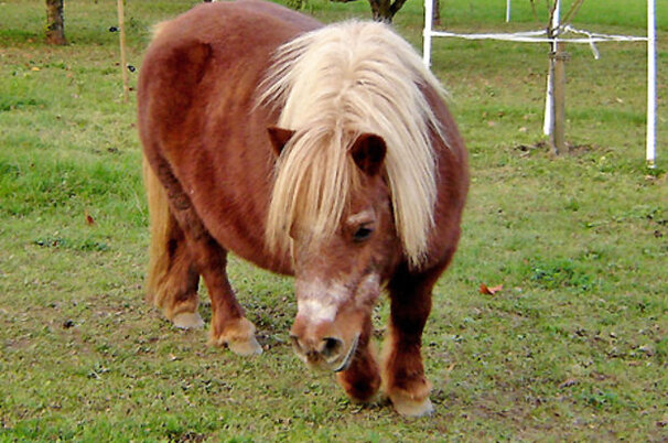 8958_8.jpg
