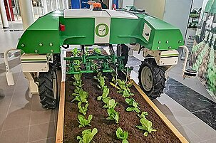 78192_8.jpg