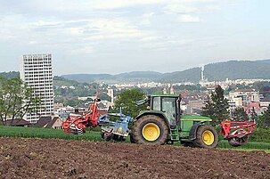 78974_8.jpg