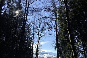 334b0f03-70f1-b901-d5dc-578f5737c53f-27010-scaled.jpeg