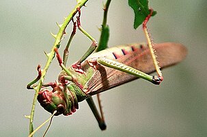 63143_8.jpg