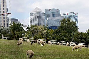 43625_8.jpg