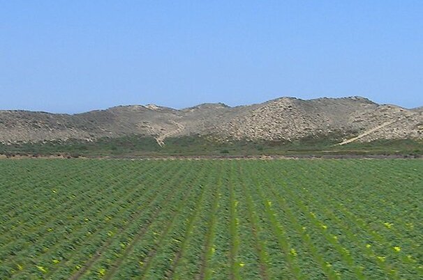 49098_8.jpg