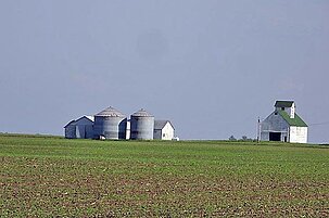 55281_8.jpg