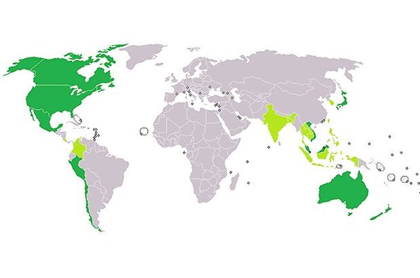 53476_8.jpg