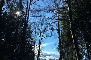 73154_8.jpg