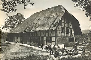 63839_8.jpg