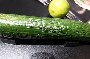70717_8.jpg