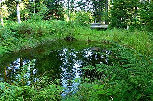 74189_8.jpg