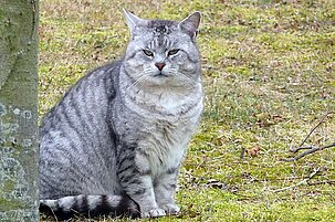 31145_8.jpg