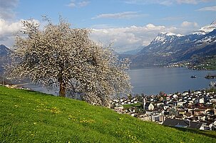 88361_8-1.jpg